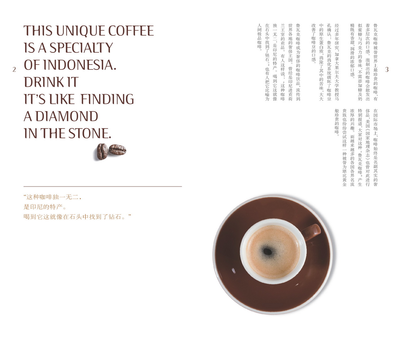 Luwak Coffee 03